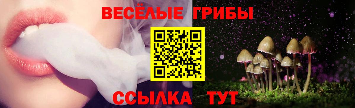 Кисловодск  Галлюциногенные грибы мухоморы  Вход с VPN 